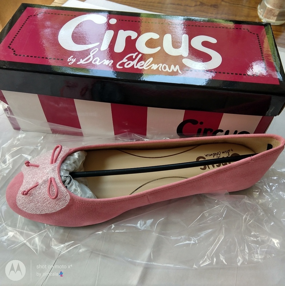 Sam Edelman Ballet Flat